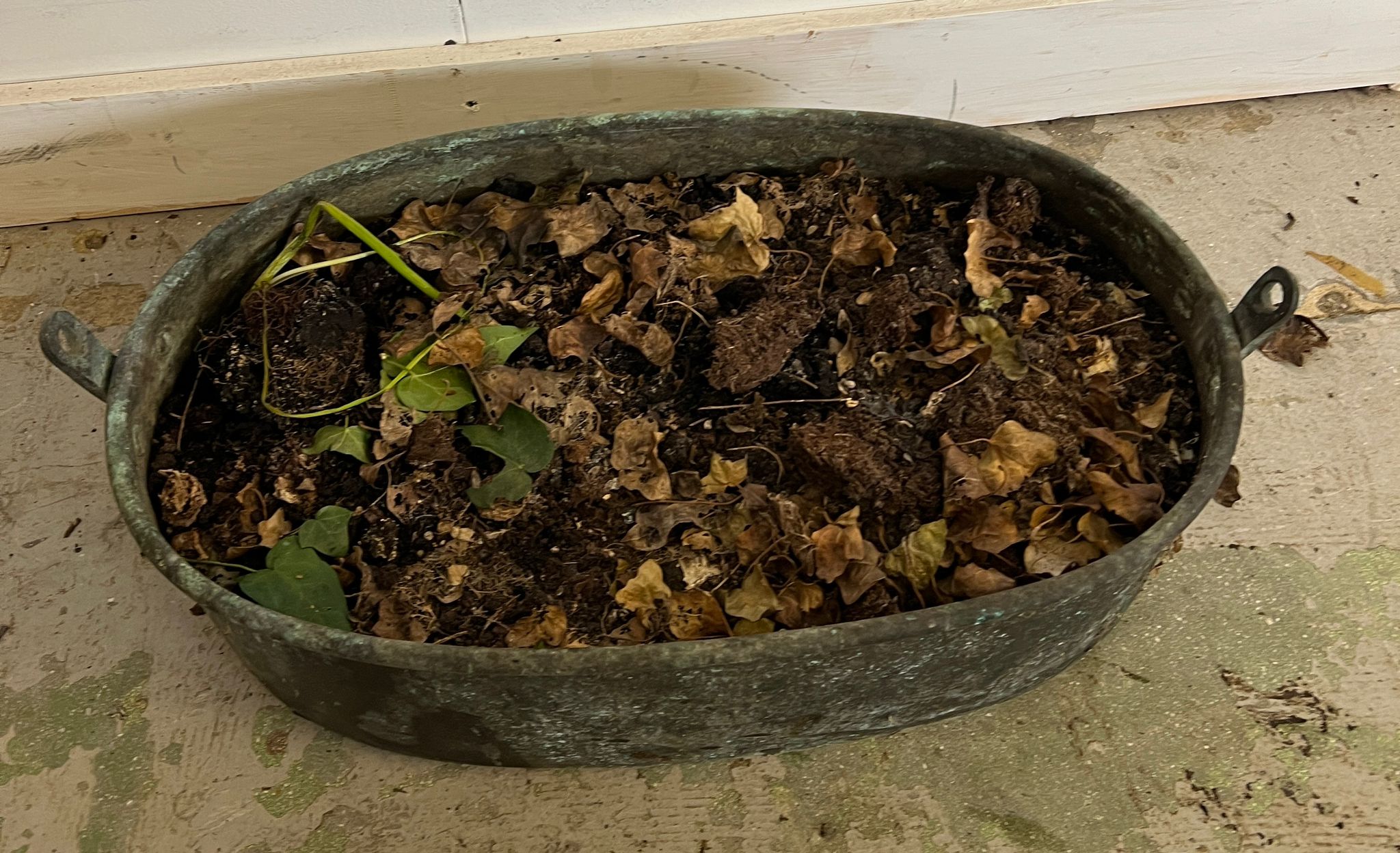 A weathered copper pan used as a planter (H20cm W60cm) - Image 2 of 4