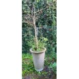 A tall planter tapering down to base (H55cm Dia43cm)