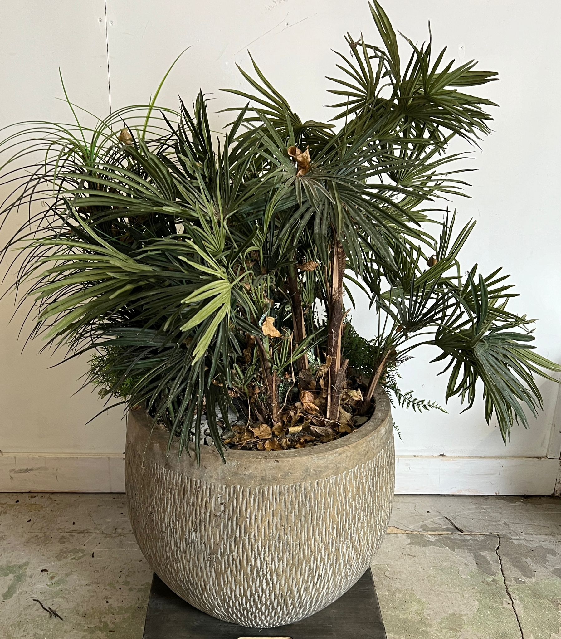 An artificial palm and ivy plants in a ribbed pot (H50cm Dia58cm)