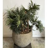 An artificial palm and ivy plants in a ribbed pot (H50cm Dia58cm)