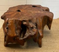 A root coffee table, crafted from a single piece with a unique look (H44cm W91cm D78cm)