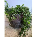 A copper garden planter with roll lip (H56cm Dia55cm)