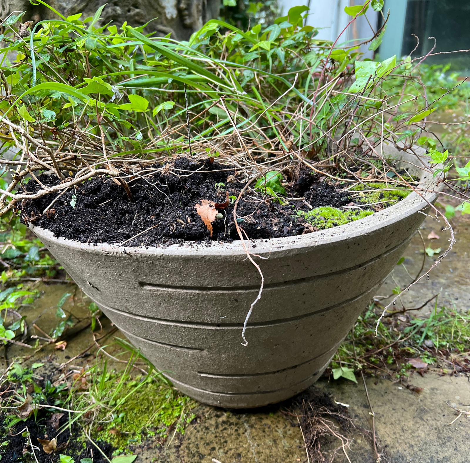 A contemporary conical shaped garden pot