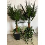 A pair of large artificial palm in a black planter (pot H38cm, total H180cm)