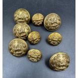 A small selection of brass military buttons.