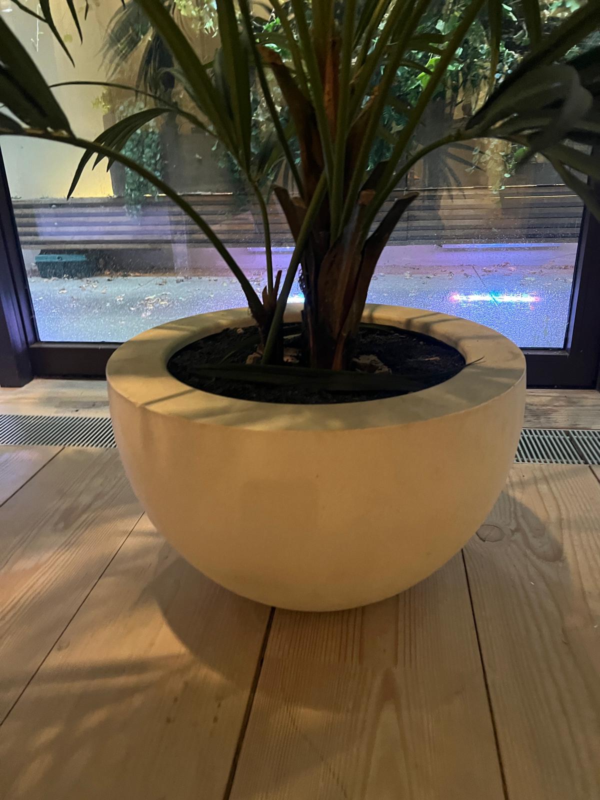 A artificial palm plant in white pot - Image 2 of 3