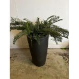 A slate style tapering pot (H60cm Dia35cm)