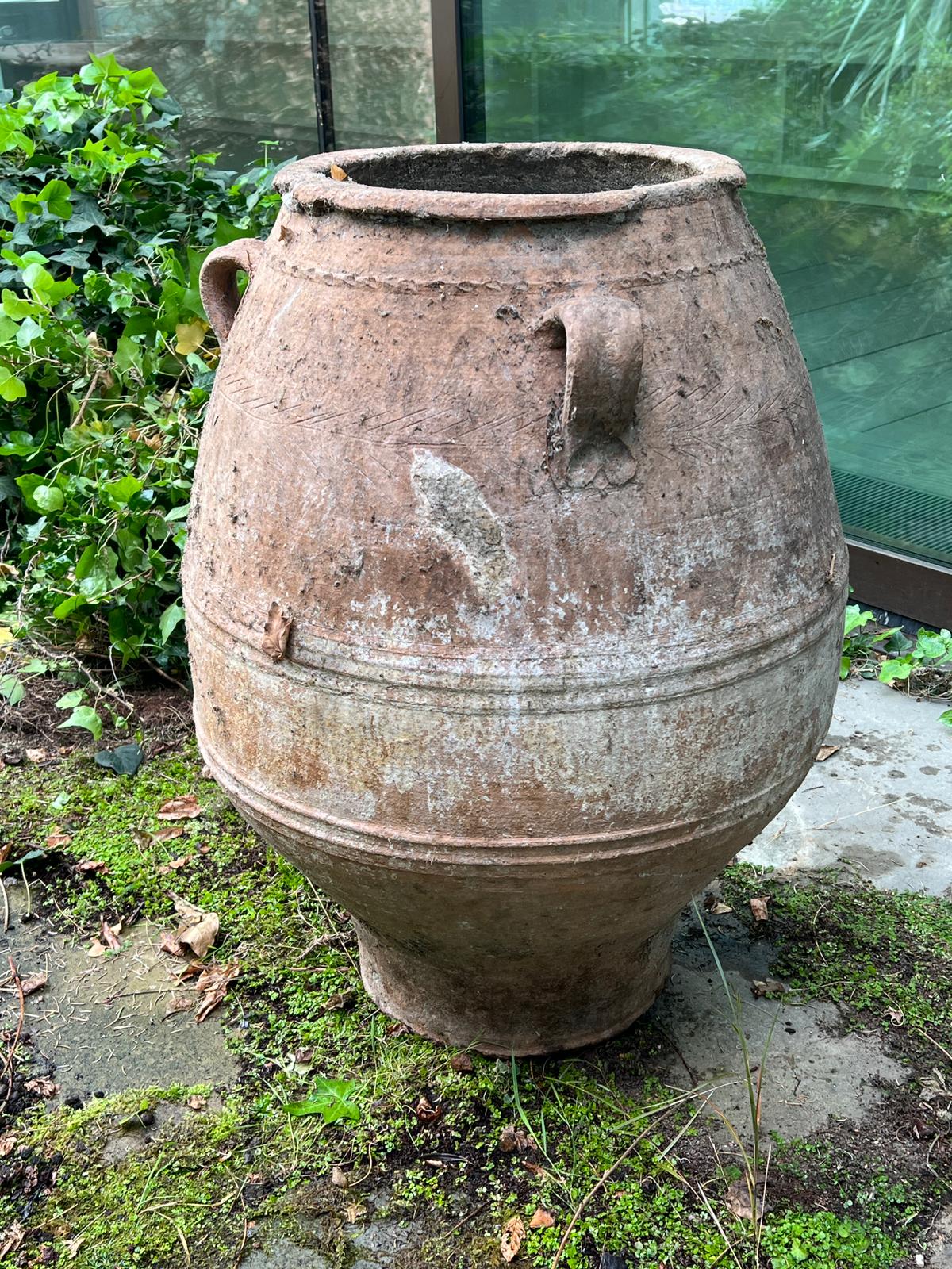 A large olive pitcher terracotta urn with three handles (H83cm Dia39cm) Condition Report