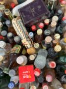 A selection of miniatures to include Chivas Regal, cognac and Finlandia vodka.