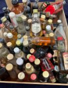 A selection of miniatures to include Romanoff vodka, White & Mackay's whisky, Paul Masson port etc