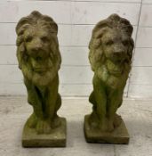 A pair of concrete garden lions H22cm