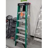 Werner 6 ft. Fiberglass Ladder; 225 lb. Cap.