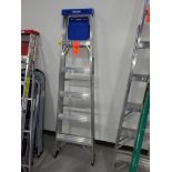 Werner 6 ft. Aluminum Ladder; 250 lb. Cap.