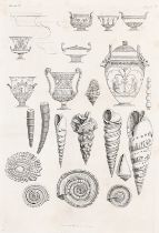 GIOVANNI BATTISTA PIRANESI: Muscheln und Vasen aus der Sammlung Gualteri.