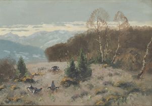 ANNA KLEIN: Landschaft mit Birkhähnen bei der Balz.