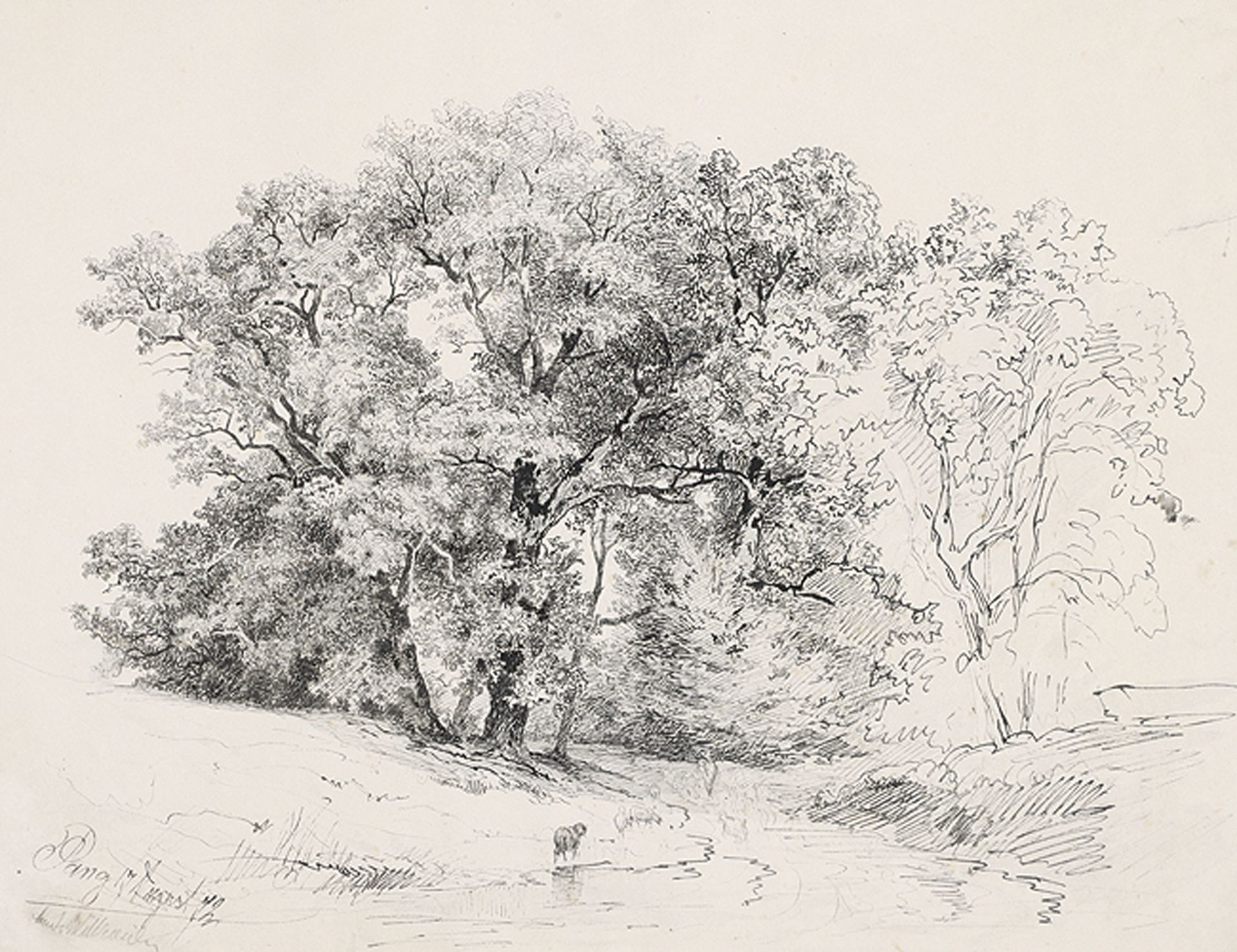 LUDWIG WILLROIDER - zugeschrieben: Landschaft bei Pang mit mächtiger Baumgruppe.