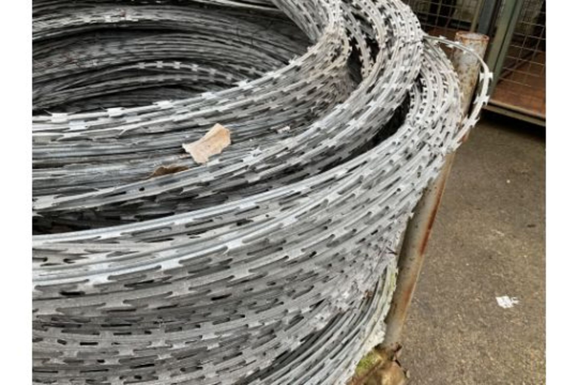 MOD stock 20 + bundles of galvanised razor wire. 1m concertina coils stretches to approx. 40 m - Bild 2 aus 3