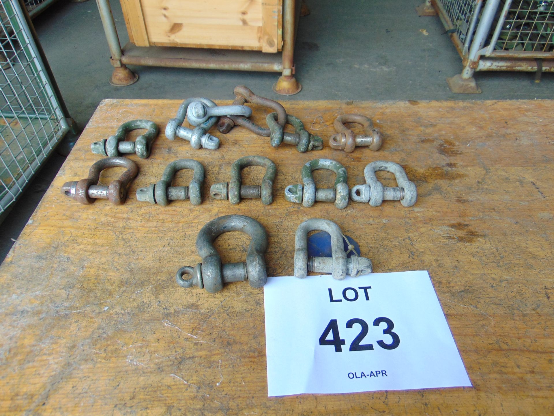 Assortment of D-Shackles