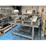 LOT: ASSORTED FRAMING, CONVEYORS, (2) REIS ROBOT FRAMES ONLY (MOTORS NOT INSTALLED), LINE COMPONENTS