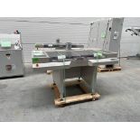 LOT 7: 2012 ASYS TRANSPORT MODULE TML PANEL CONVEYORS, SN 043319 [103], 043339 104], 043321 [276], 0