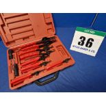 One 10-Piece Circlip Plier Set in Rigid Carry Case