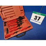 One 10-Piece Circlip Plier Set in Rigid Carry Case