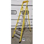 One Fibreglass 6-Tread (plus Platform) Step Ladder