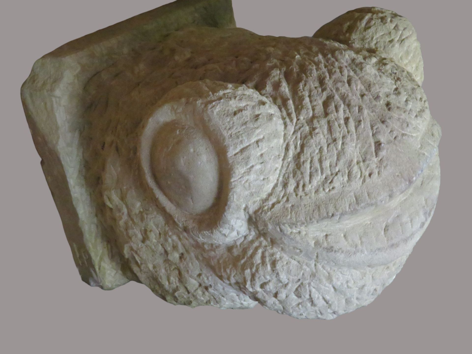 Wandskulptur, Kopf eines Frosches, Sandstein behauen, 31 x 32 x 39 cm. - Bild 2 aus 2