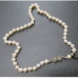 Akoya-Perlenkette, einreihig, Schließe Silber 835/000, punziert, Perle d 0,6 cm, l 36 cm.