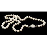 Perlenkette, einreihig, einzeln geknotet, Schließe Silber 835/000, punziert, diese besetzt mit Perl