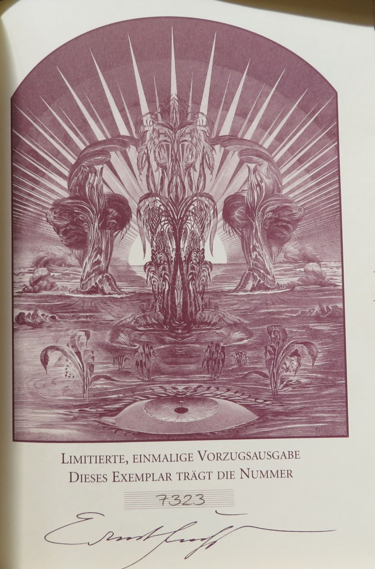 Ernst-Fuchs-Bibel; Die Bibel, gestaltete und bebildert von Ernst Fuchs, in der Übersetzung von Hamp - Bild 3 aus 4