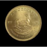 Goldmünze, Krügerrand, Südafrika, 1971, 1 OZ, Gold 916,66/000, 33,9 g, d 3,27 cm.