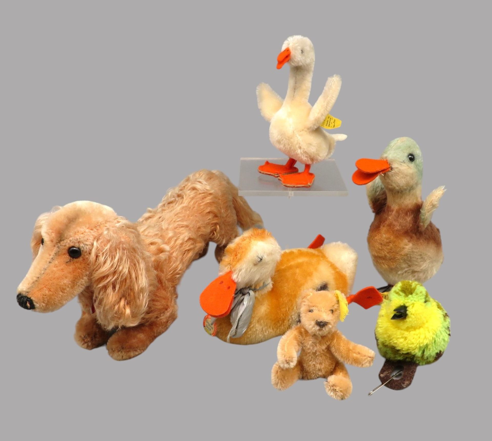 6 diverse Steiff-Tiere, Dackel, drei Enten, kleiner Teddy und Vogel, 5 x mit Knopf im Ohr und Fahne
