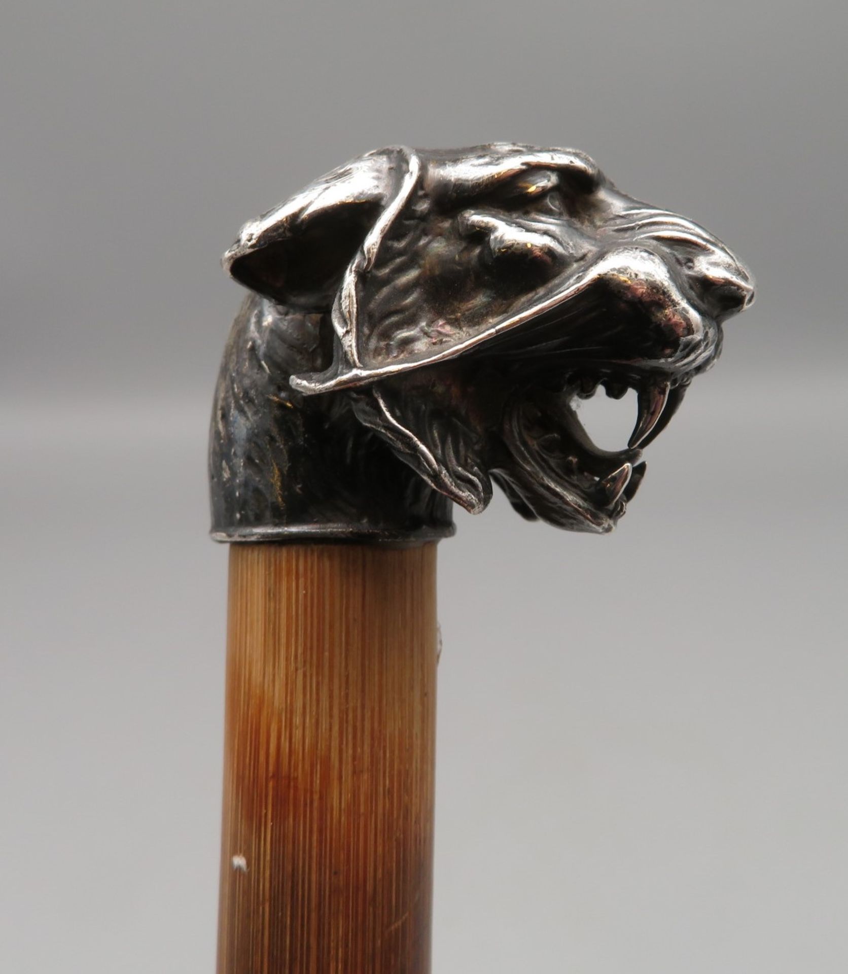Spazierstock mit Knaufgriff in Gestalt eines plastisch gestalteten Tigerkopfs, Silber 835/000, punz