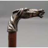 Spazierstock, Krückengriff in Gestalt eines wiehernden Pferdekopfs, Silber 800/000, geprüft, l 92 c