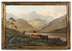 CALLUM, C.M. (England um 1900), "Rinder vor Beinn Nuis auf der Isle of Arran", R.