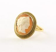 Gemmenring, 585/ooo Gelbgold, Muschelcameo