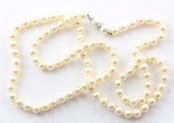 Perlenkette, 750/ooo WG Schließe, L 72