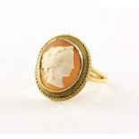 Gemmenring, 585/ooo Gelbgold, Muschelcameo