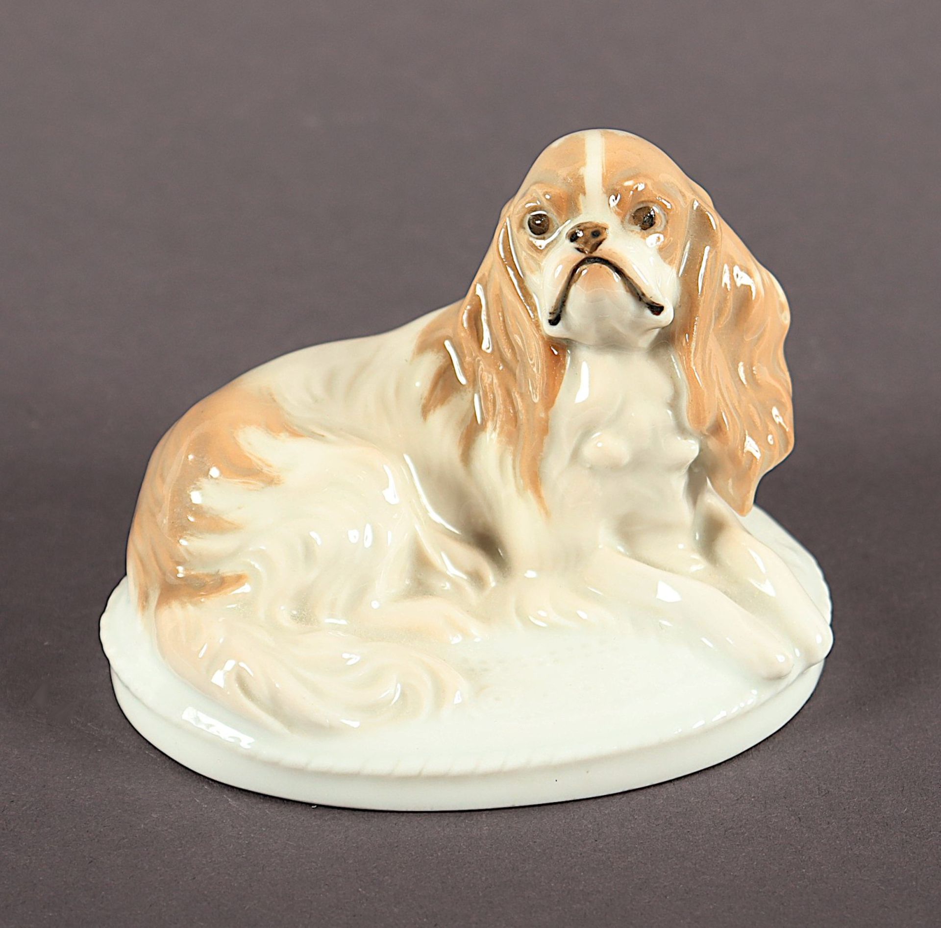 CAVALIER KING CHARLES SPANIEL, K 287, Fritz Diller, Rosenthal, vor 1922