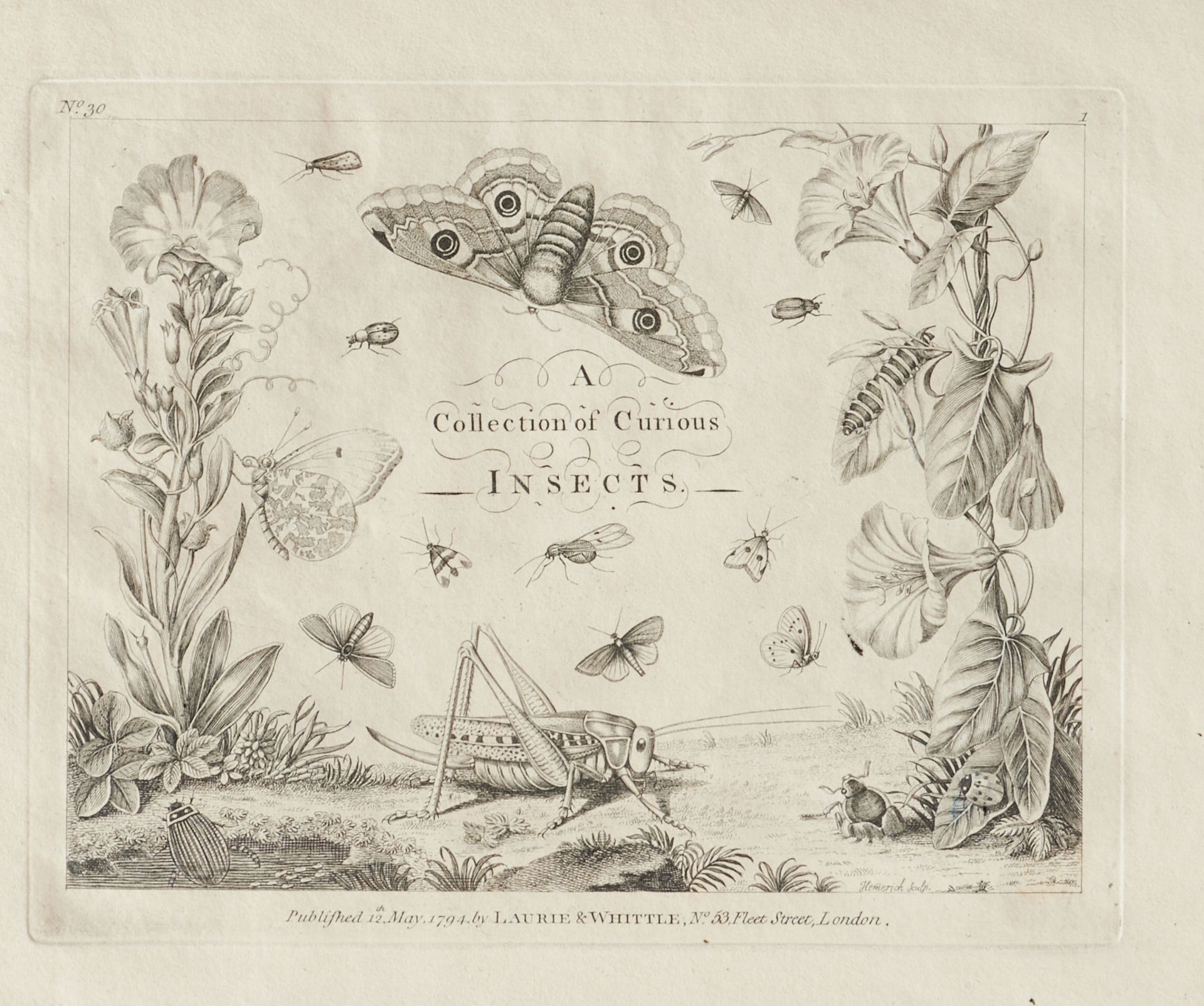 Entomologie - (Rösel von Rosenhof, A. J.),