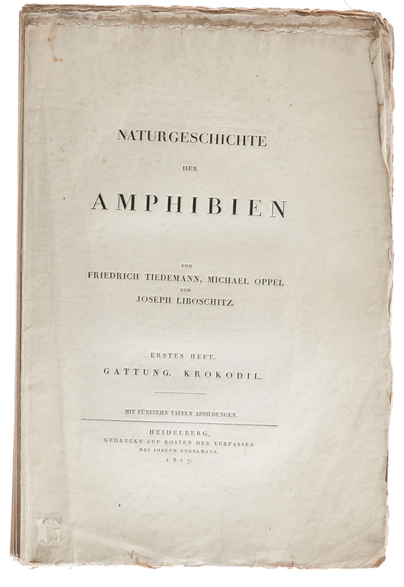 Herpetologie - Tiedemann, F., Oppel, (N.) M., und J. Liboschitz,