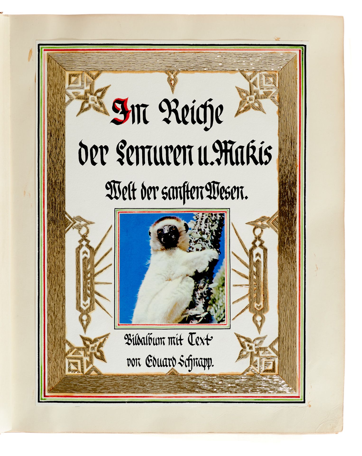 Zoologie - "Im Reiche der Lemuren u. Makis. - Image 2 of 7