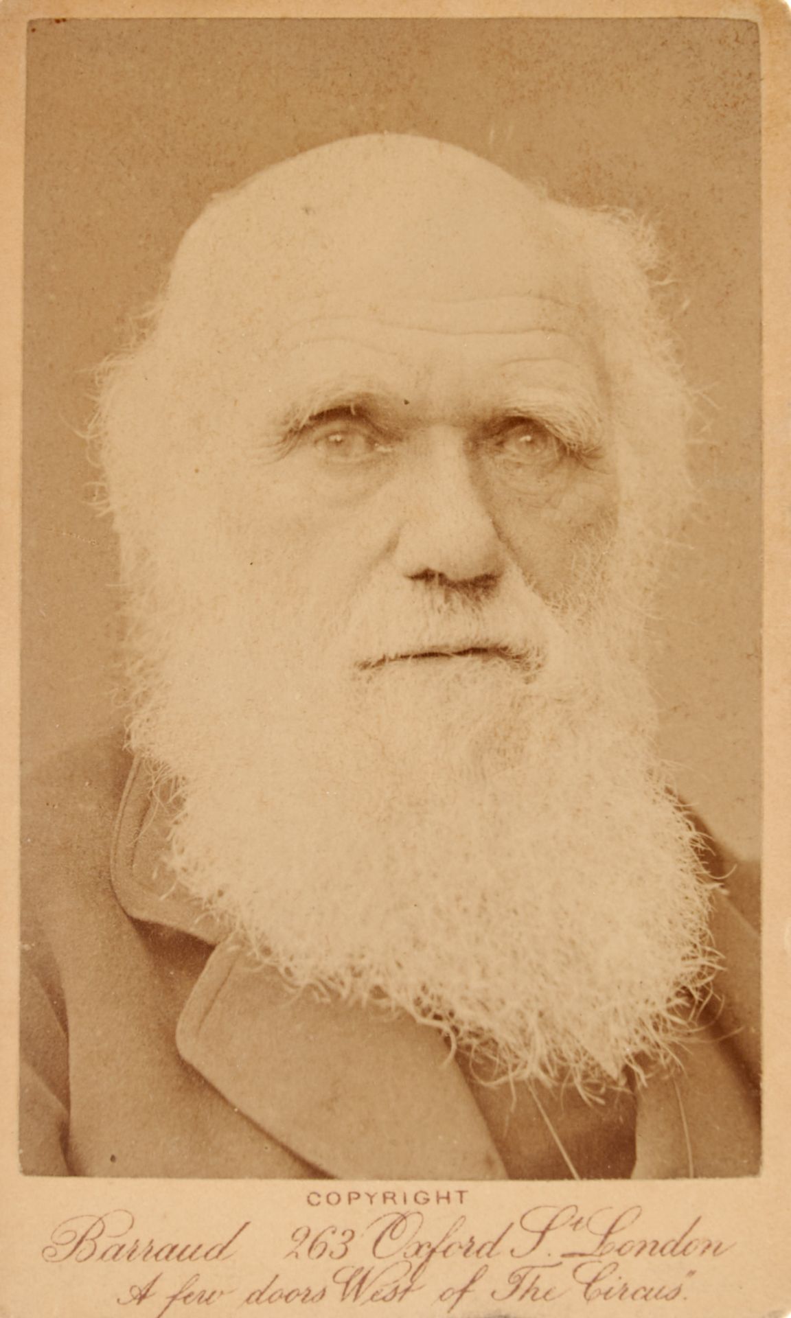 Portraits - Darwin - Barraud -
