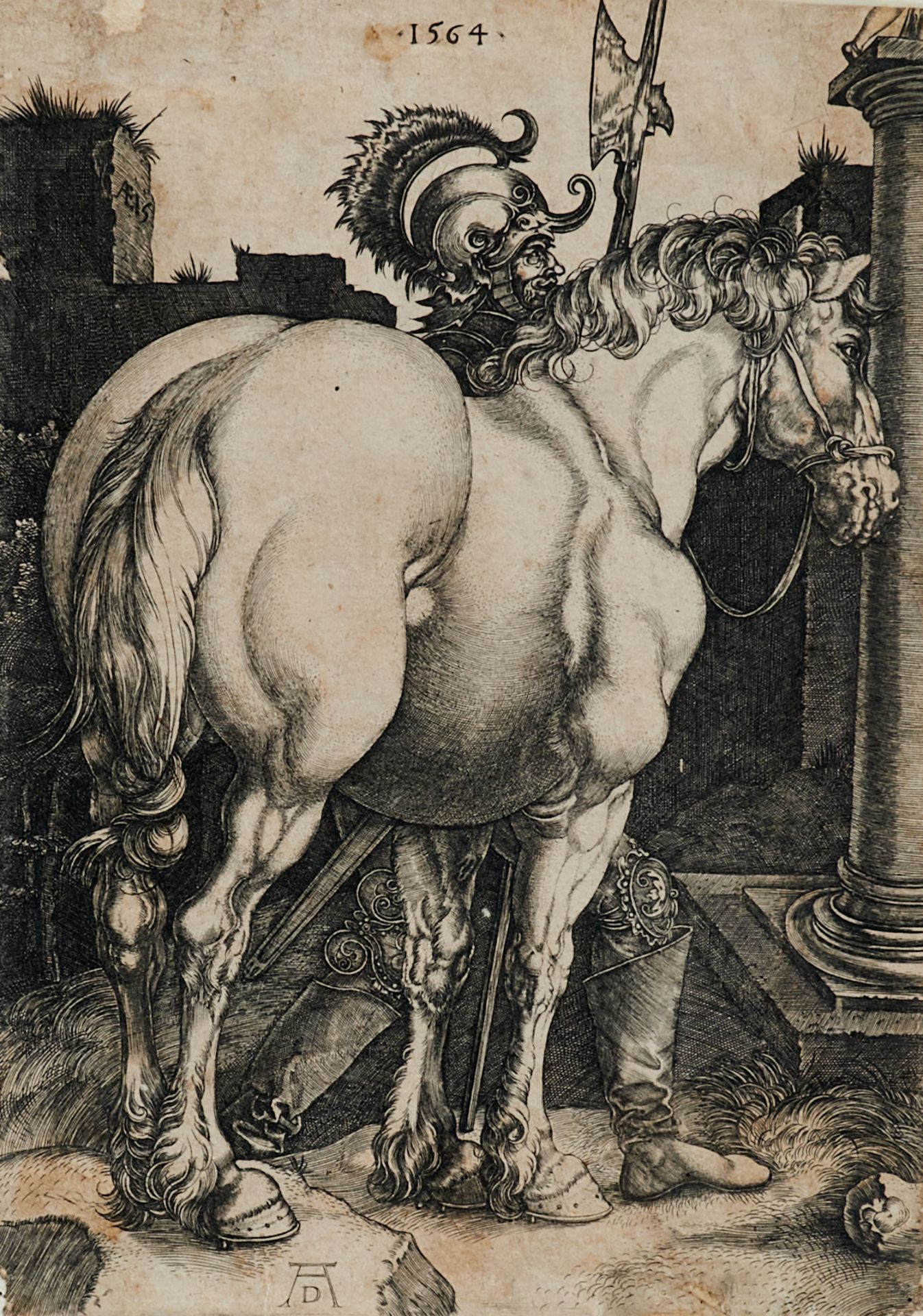 Dürer - - Bild 2 aus 4