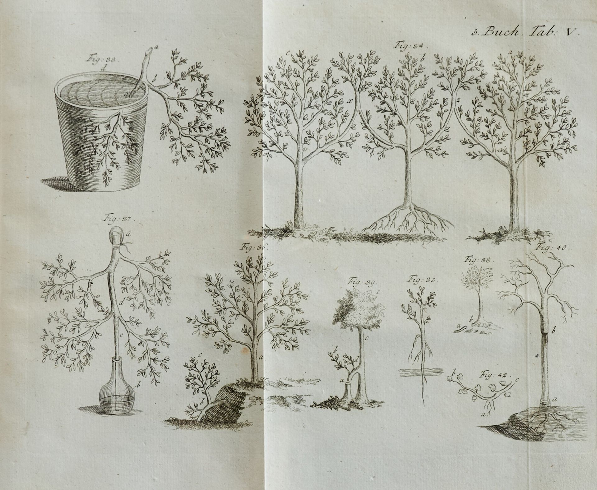 Duhamel du Monceau, H. L., - Bild 4 aus 5