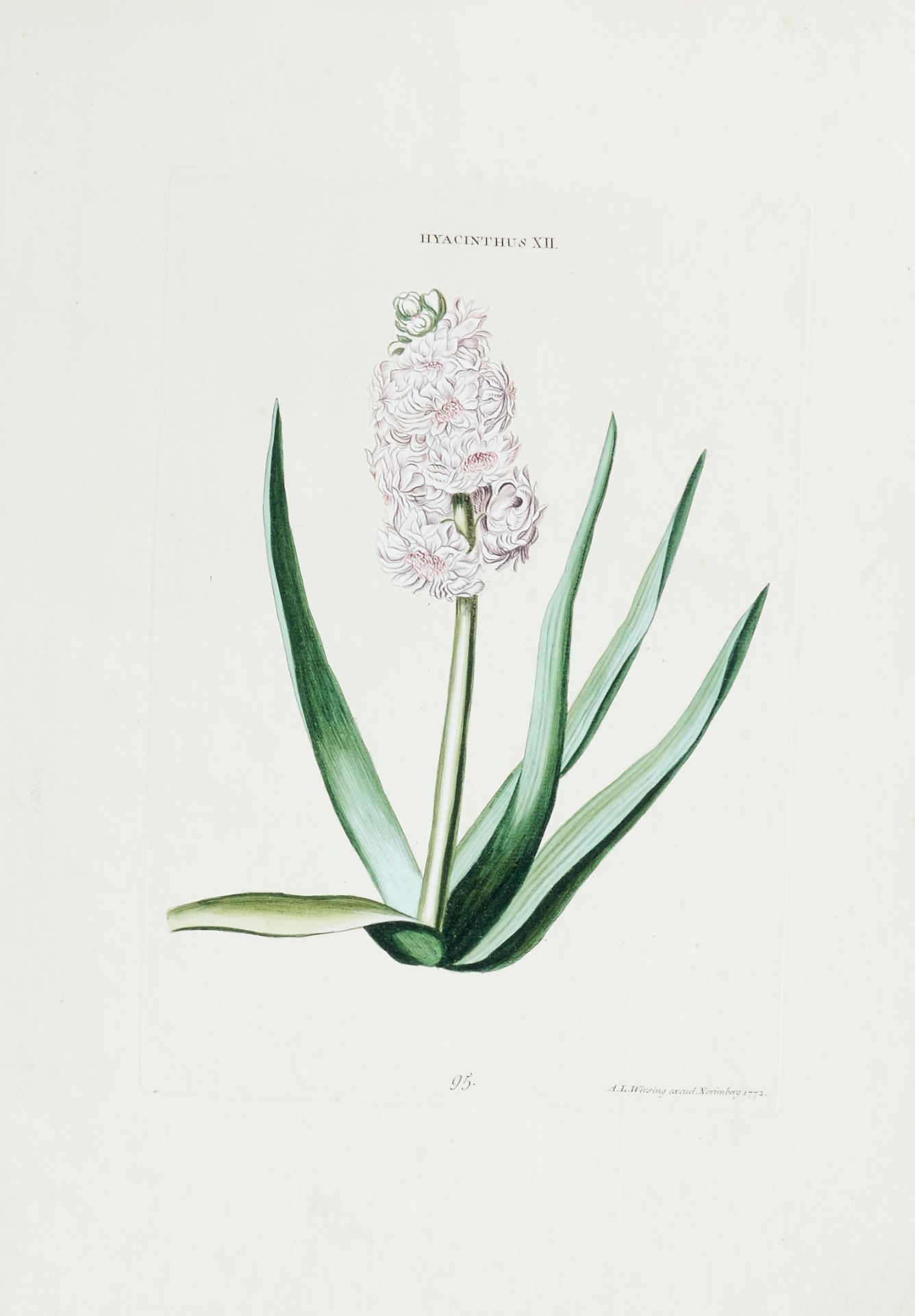 Flora - Sammlung - - Image 5 of 5