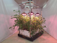 Unused OPCOM Aeroponics Pallet Farm