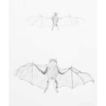 Kiki Smith (1954 Nürnberg – lebt in Berlin)