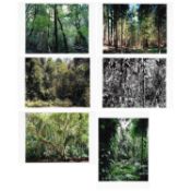 Thomas Struth (1954 Geldern – lebt in Berlin)